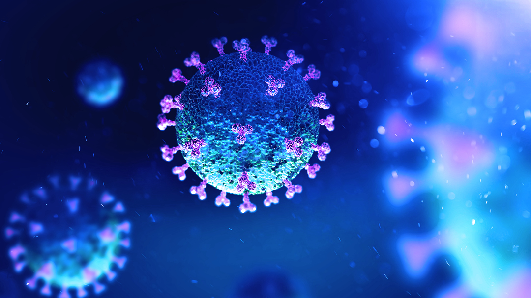 koronavirus